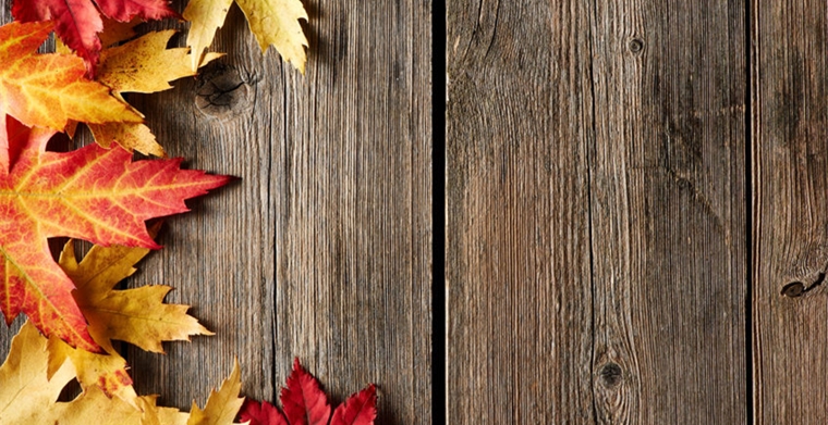 如何提高亚马逊短视频的转化率