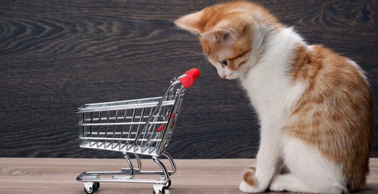 后疫情时期,这个品类为何在日本市场依旧畅销?