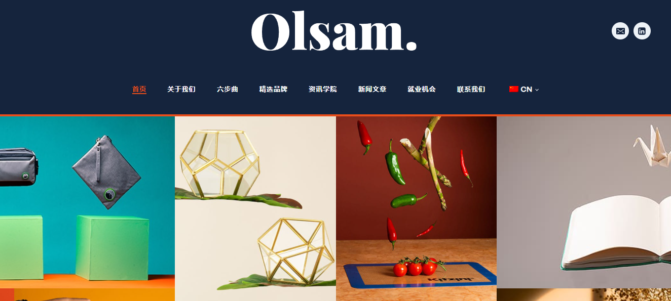 Olsam