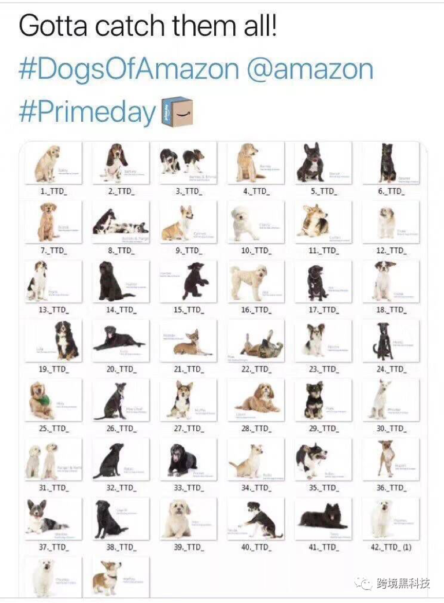 亚马逊会员日系统崩溃！Listing页面改版、广告费暴涨！