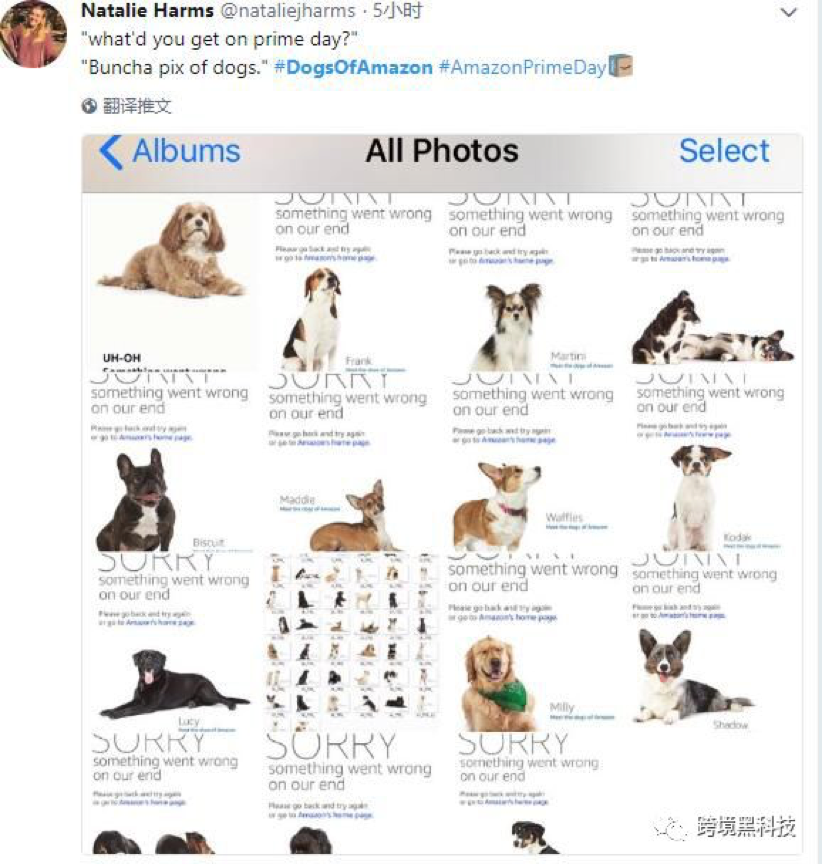 亚马逊会员日系统崩溃！Listing页面改版、广告费暴涨！