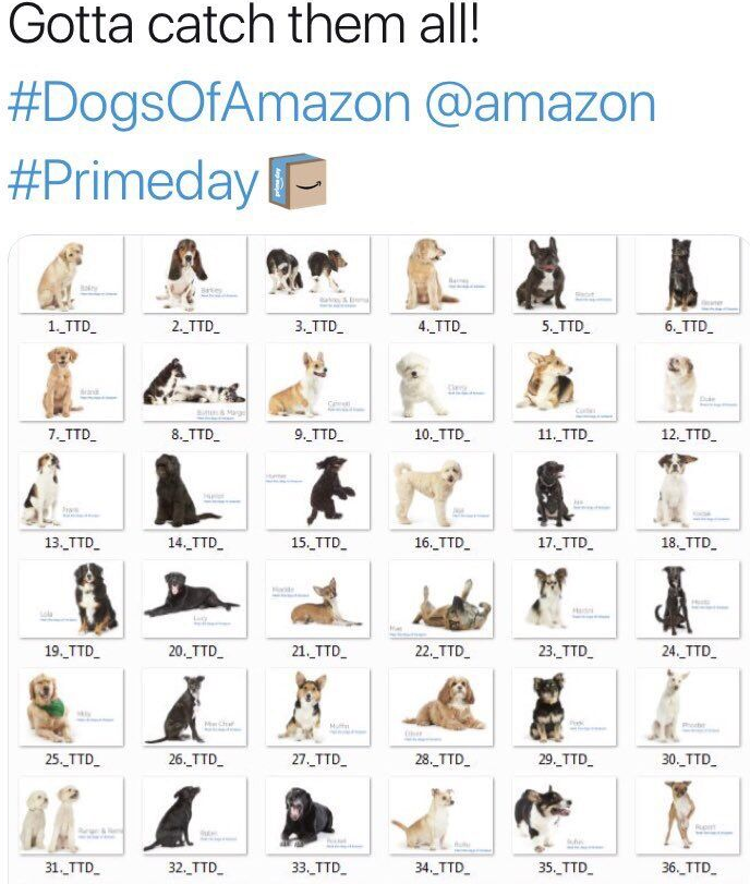 日本站、欧洲站爆单不断，美国站却只能盯着屏幕看狗？