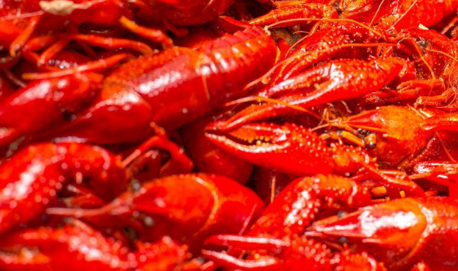 2018年世界杯：除了中国足球队，中国足球和中国制造都去了！