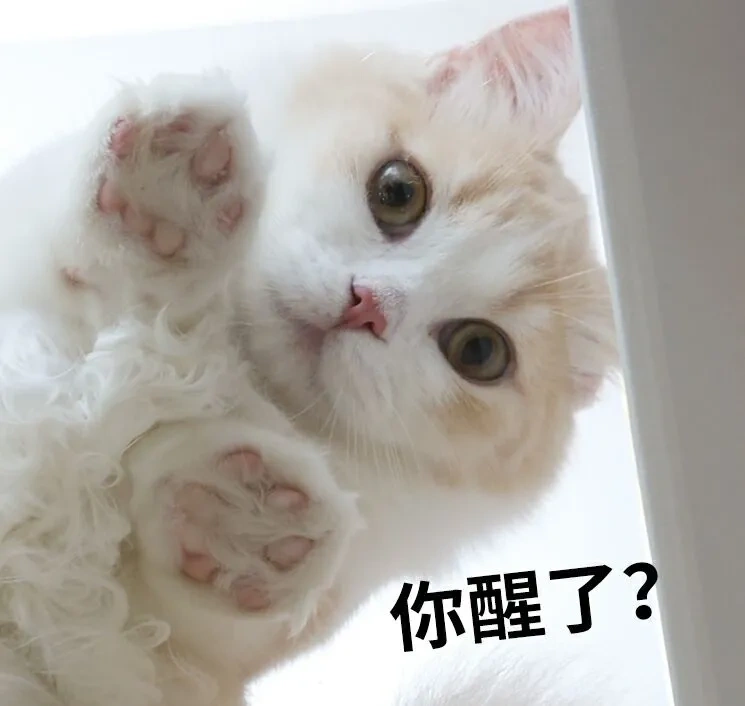 汇率逼近6.3!又一波Wish卖家被冻结...