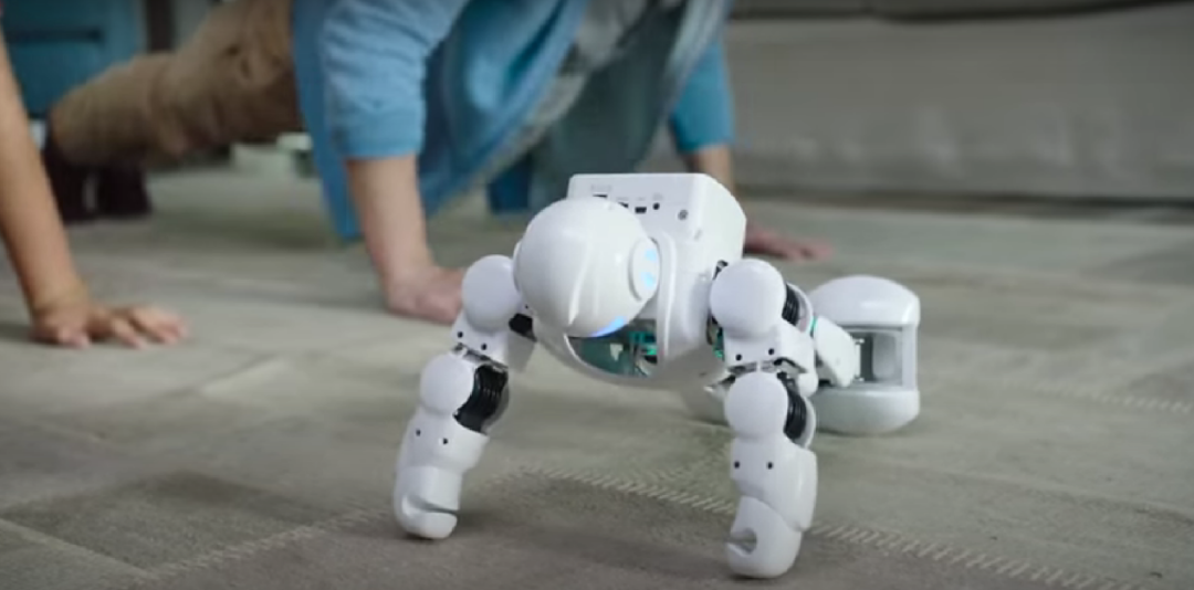 安克、经纬都在投的机器人品牌们,正在怎么改变我们的生活