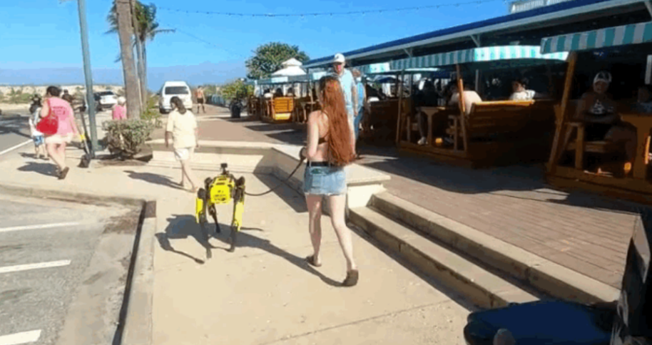 安克、经纬都在投的机器人品牌们,正在怎么改变我们的生活