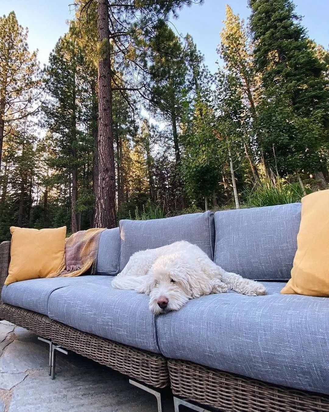 对话Outer：到底是什么吸引了红杉和SHEIN的投资？