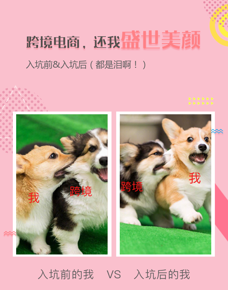 获奖名单公布|快来感受下这波盛世美颜的冲击！