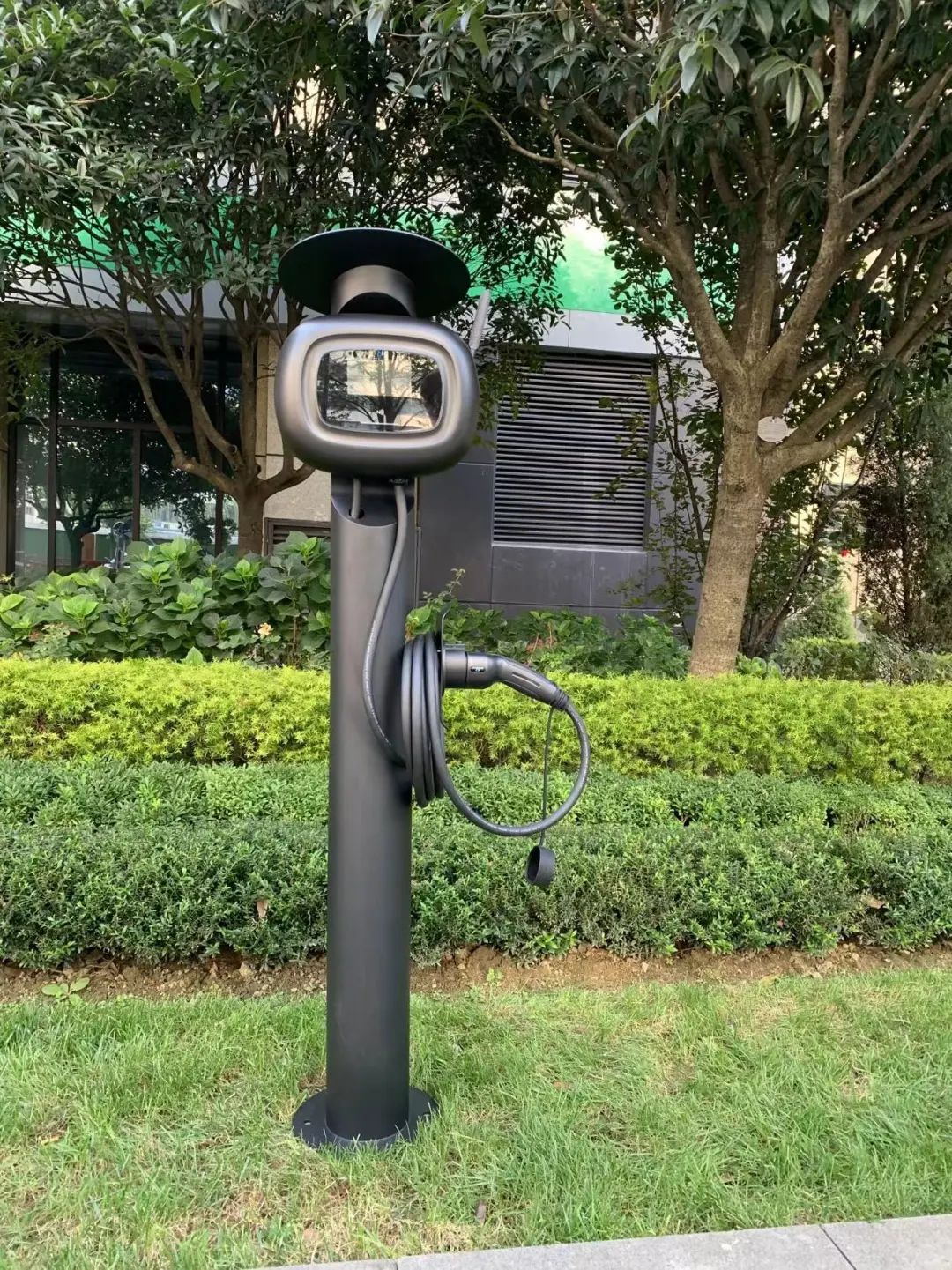 服她!成功转型亚马逊,新能源界Top1,中国制造扎根欧洲,凭什么?