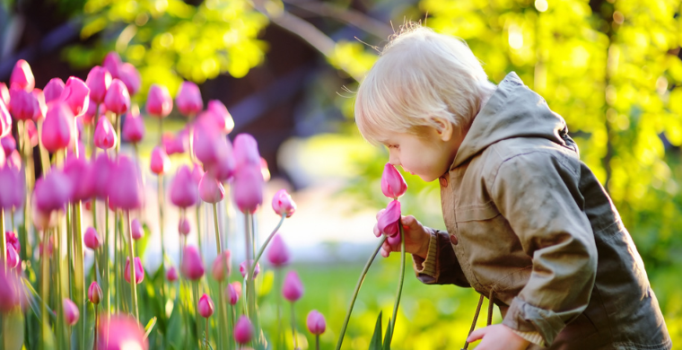 新规?测评将不再变狗、不再封店!