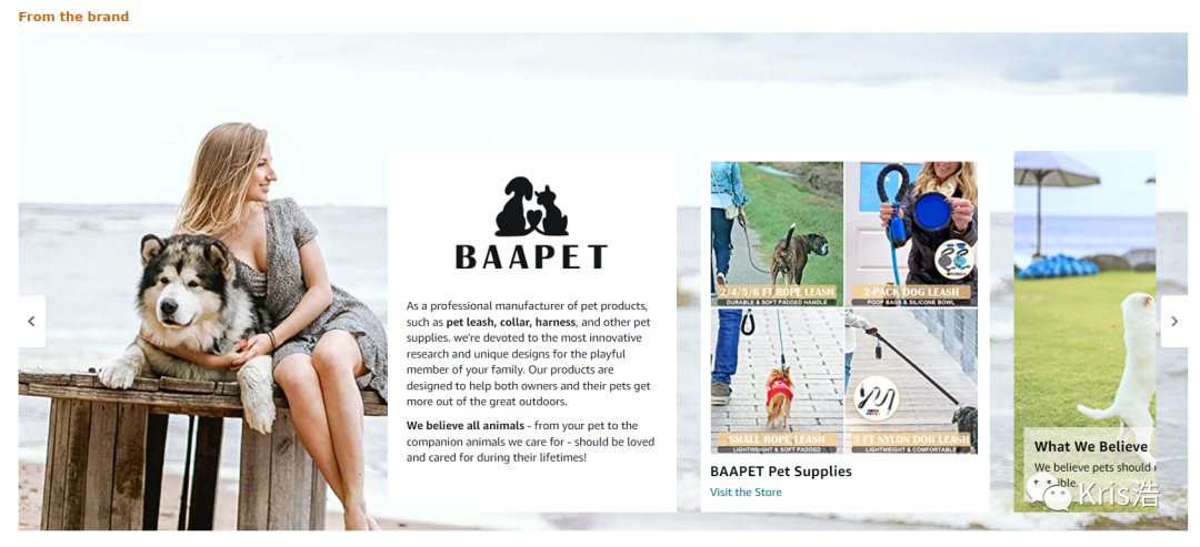 如何做出高端A+页面的新品牌故事板块