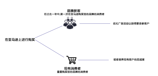 如何利用亚马逊广告的品牌指标来更精细化地进行数据分析？