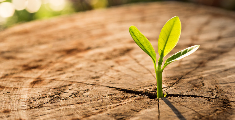 2022年倒计时!德国EPR法规即将来临,这些产品不合规将被停售?