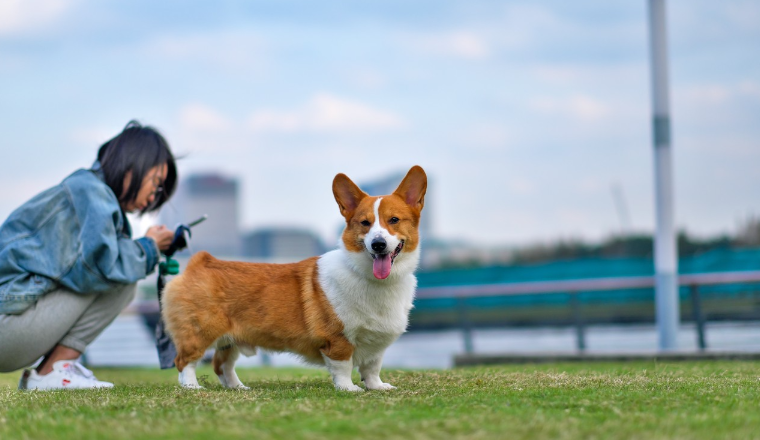 2022年日本电商市场现状及网红营销特点