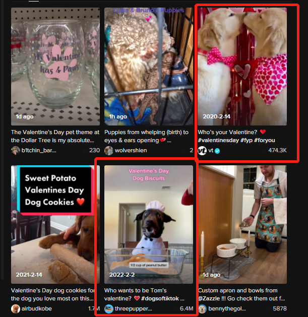 搜索热度高出峰值169%!TikTok情人节爆品大预测