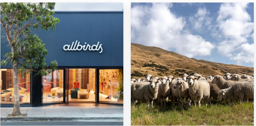 1634539797965787.png 美国电商主流将变动!62%美国消费者选购DTC品牌