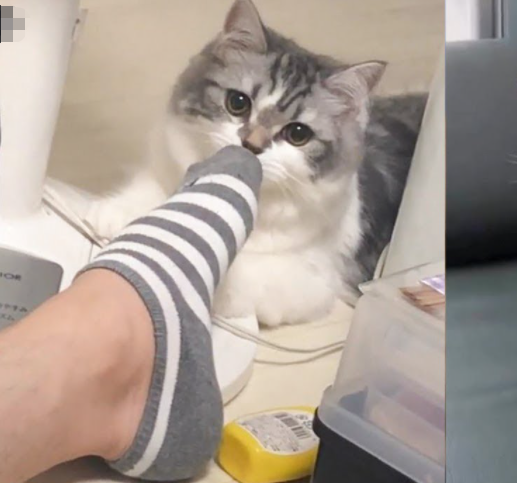 1615949161777315.png 搜索量暴增1300%!中国制造意外爆红,订单排到8月