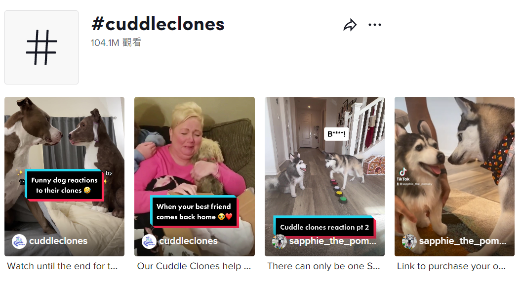 “克隆宠物玩偶”在TikTok流量过亿,专属铲屎官的私人定制