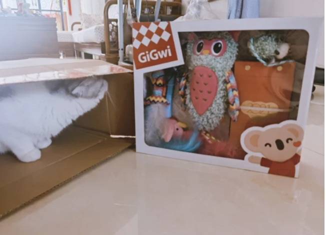 1612684352202992.png 宠物咨询增长200%,考拉海购“喵汪客服”直播分享如何和宠物过年