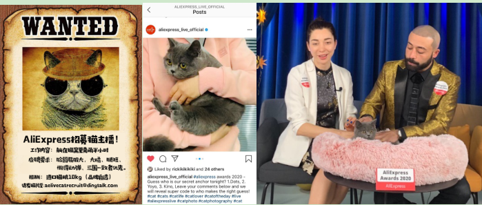 1610009966166641.png 智能猫砂盆销量暴涨10倍,速卖通官方直播间招募“猫主播”带货