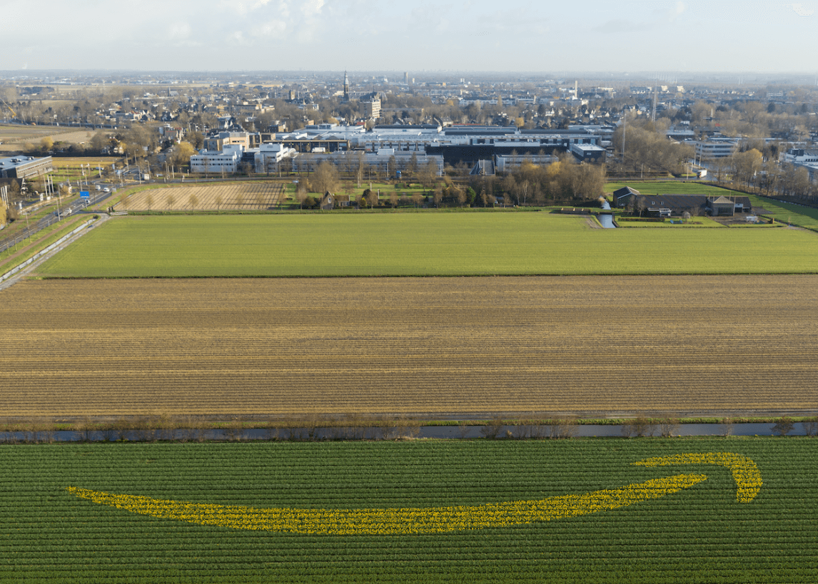 1583824924172065.png 亚马逊荷兰站对全球卖家开放注册