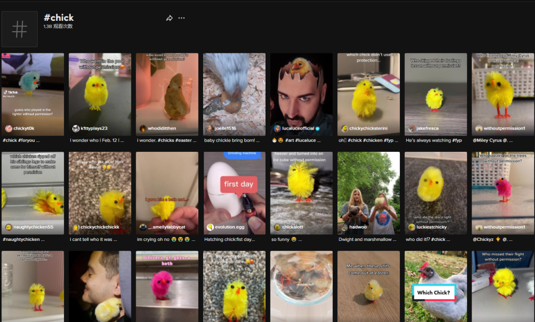13秒视频2150万播放,一款复活节玩具走红TikTok