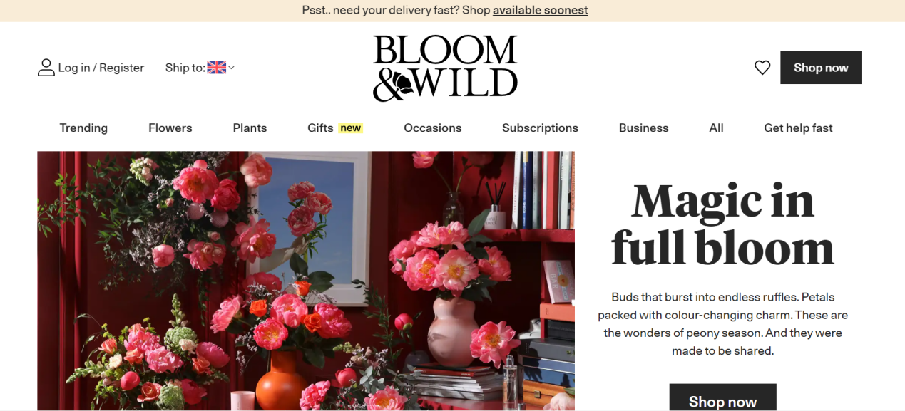 2023年海外增长迅猛的10大DTC品牌